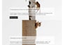 build premium squarespace website, squarespace website redesign, web development